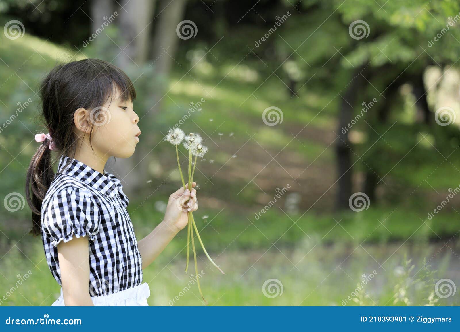 Japanese Student Girl Blowing Dandelion Seeds Stock Image - Image of ...