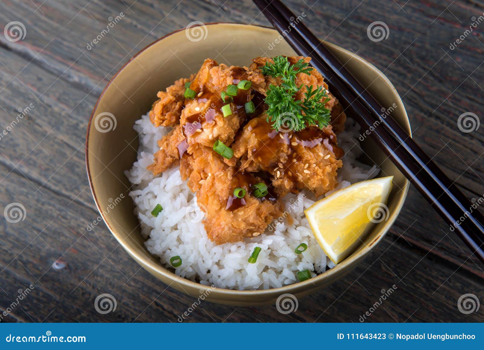 Japanese Style Crispy Chicken with Rice. Stock Image - Image of dish ...