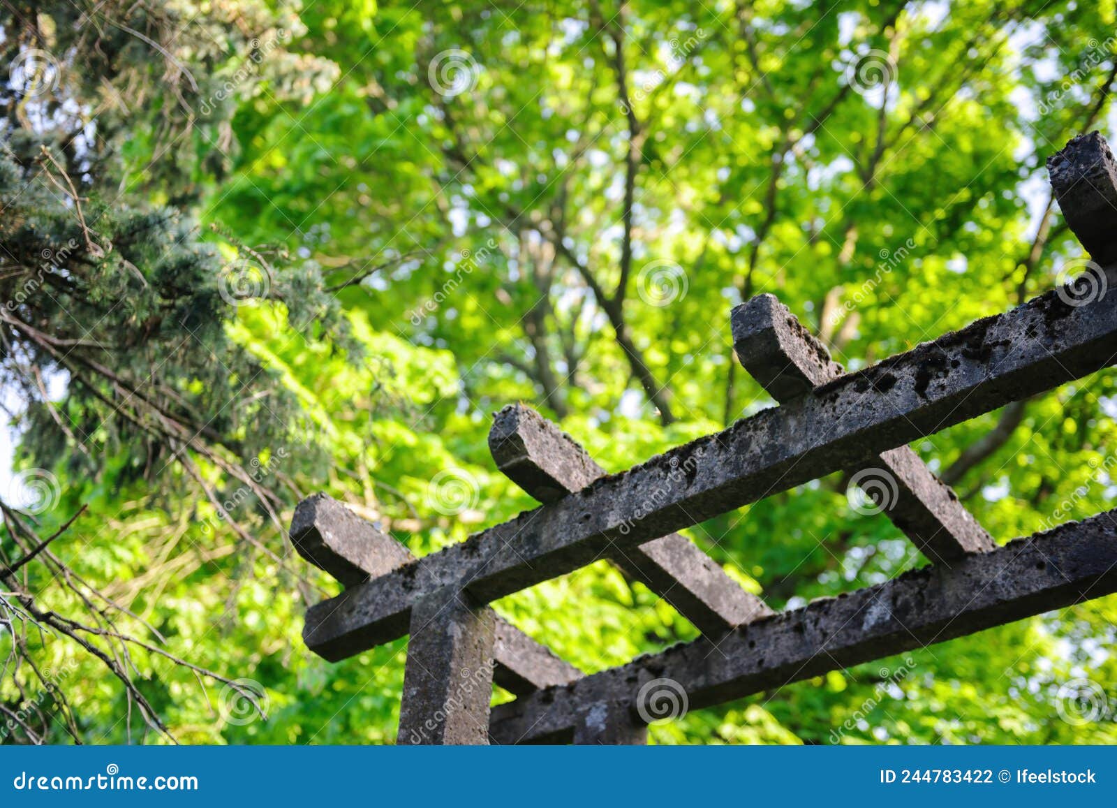 Japanese Style Pergola Made from Cement with Green Tree Stock Photo