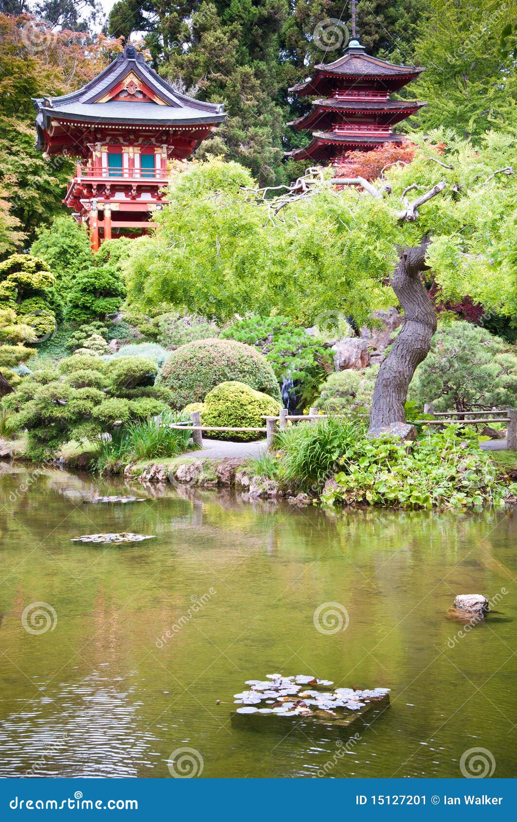 Japanese Tea Garden stock image. Image of forest, asia 15127201