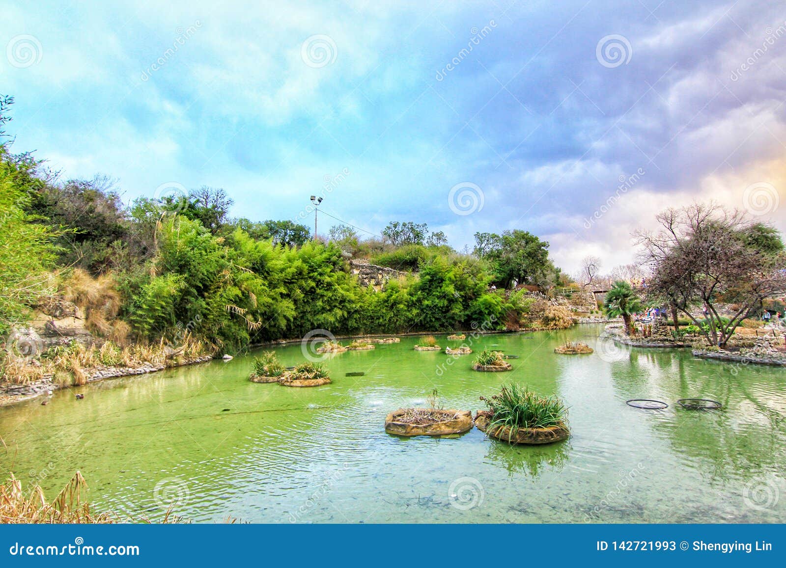 Japanese Tea Garden Stock Image Image Of Antonio Amazing 142721993