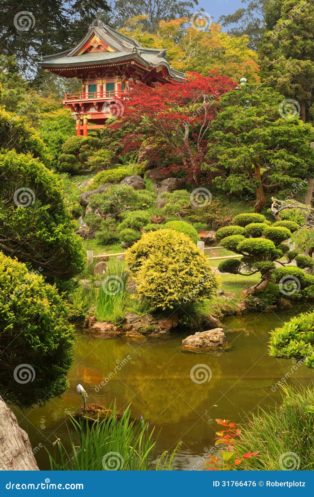 Japanese Tea Garden stock photo. Image of japanese, harmony 31766476