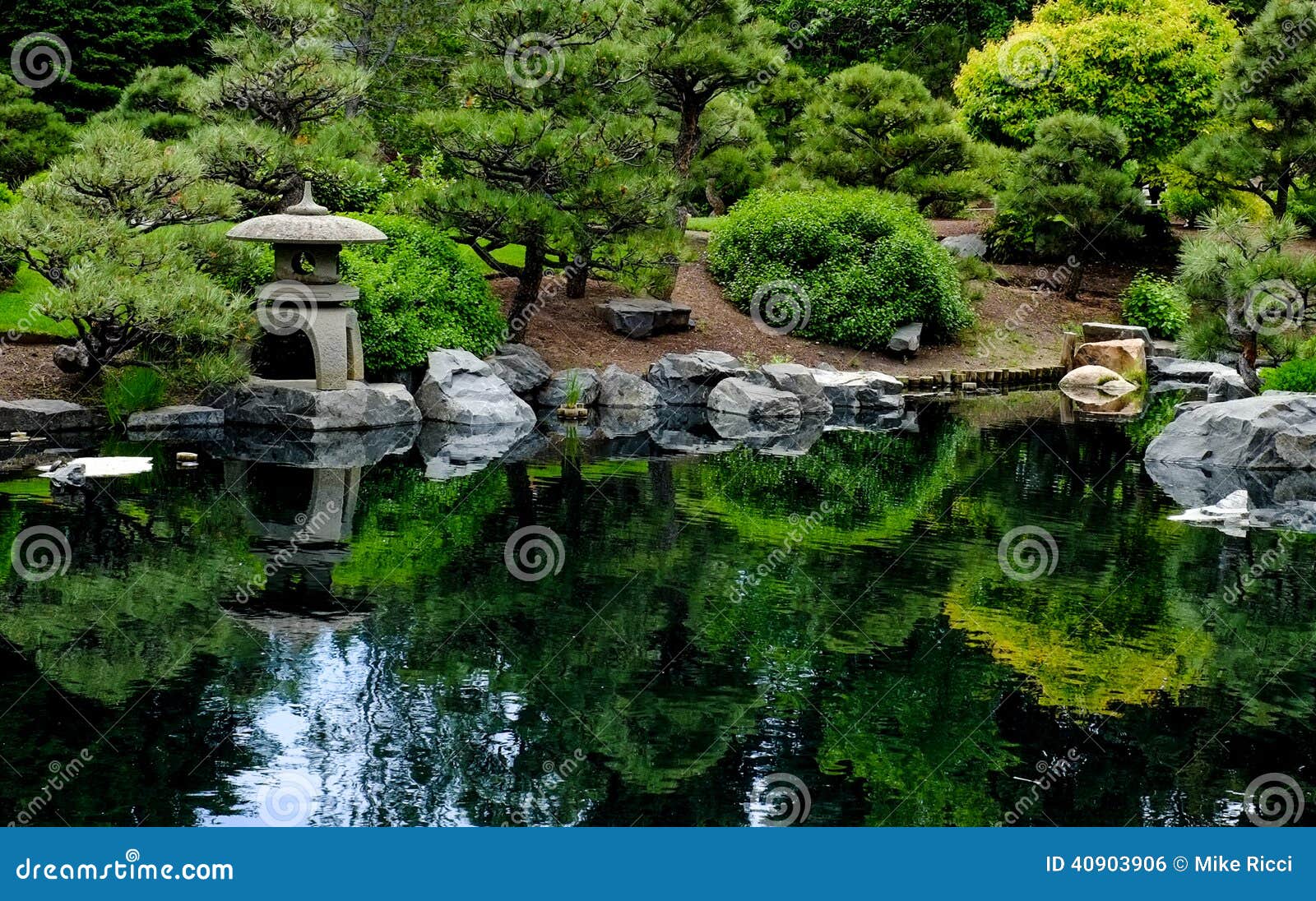 Japanese tea Garden stock photo. Image of garden, water - 40903906