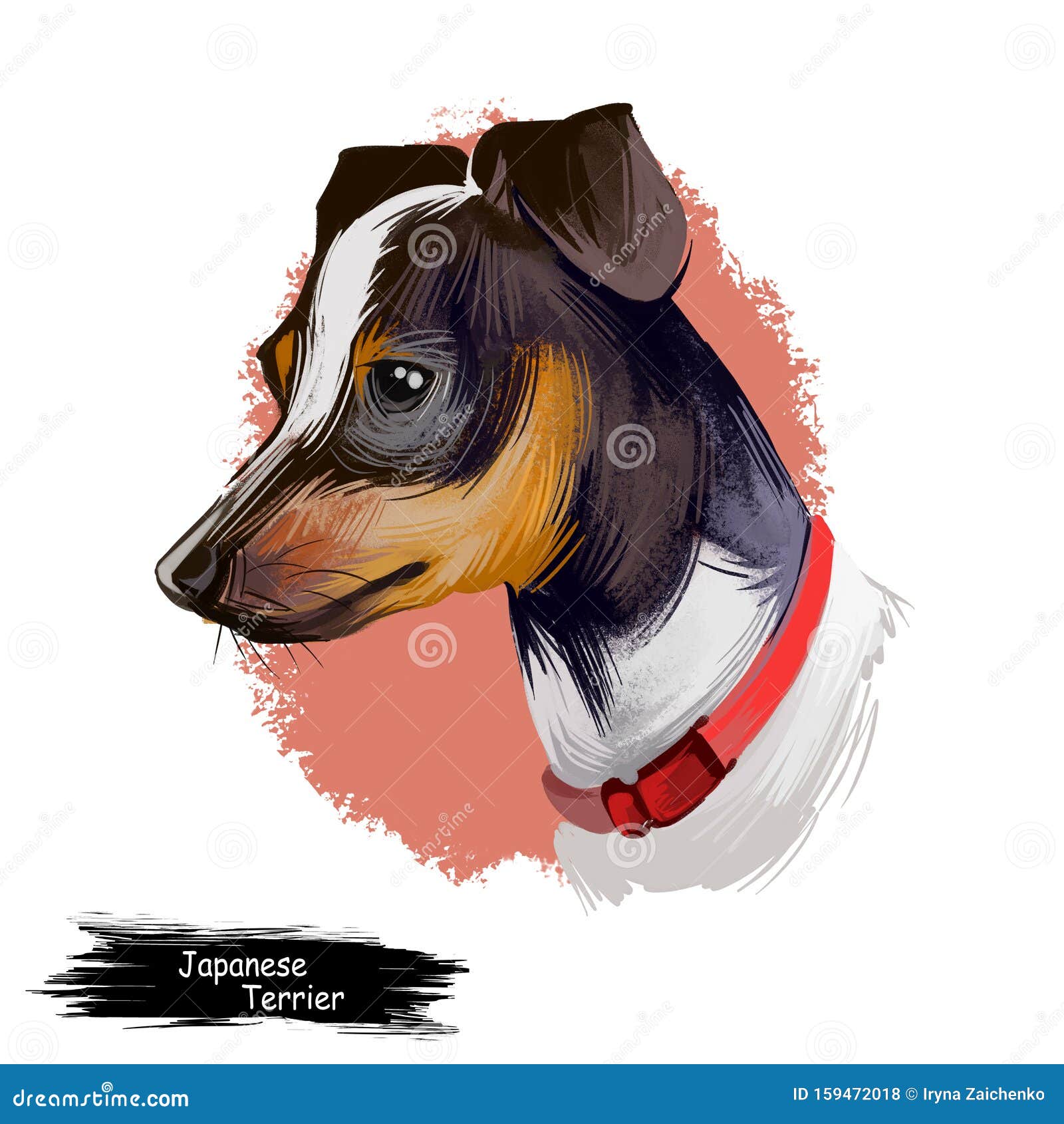 japanese terrier, nippon terrier, nihon teria, nihon terrier dog digital art   on white background. japan