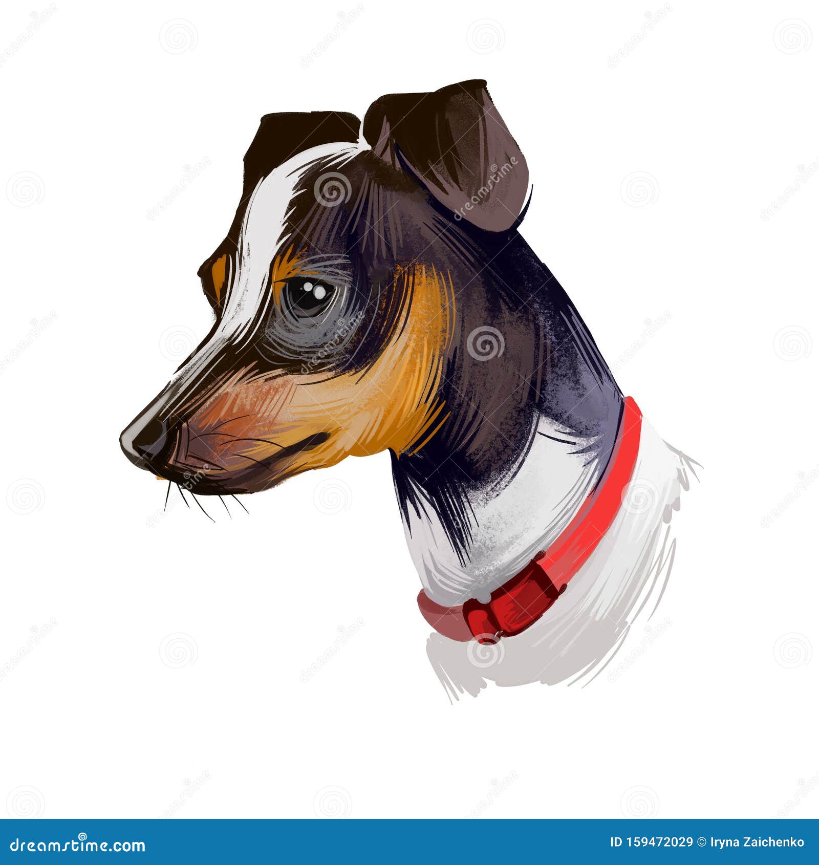 japanese terrier, nippon terrier, nihon teria, nihon terrier dog digital art   on white background. japan