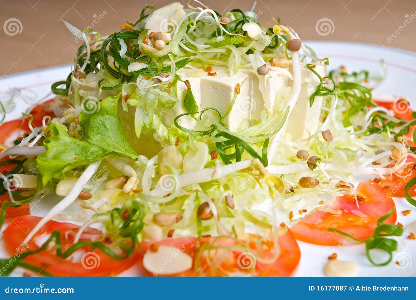 Japanese Tofu Salad stock image. Image of dinner, beef - 16177087