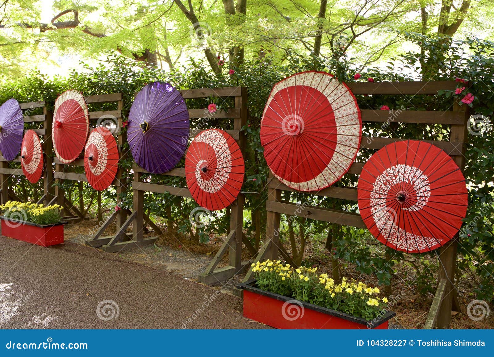 Japanese Umbrella Decorations. Stock Image Image of color, culture