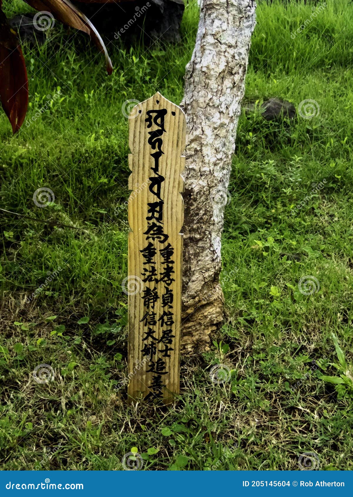 japanese writing on a sign next to a tree on eten island, truk