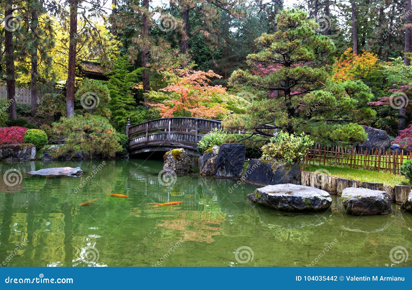 Japanese Zen Garden Stock Photo Image Of Pond Travel 104035442
