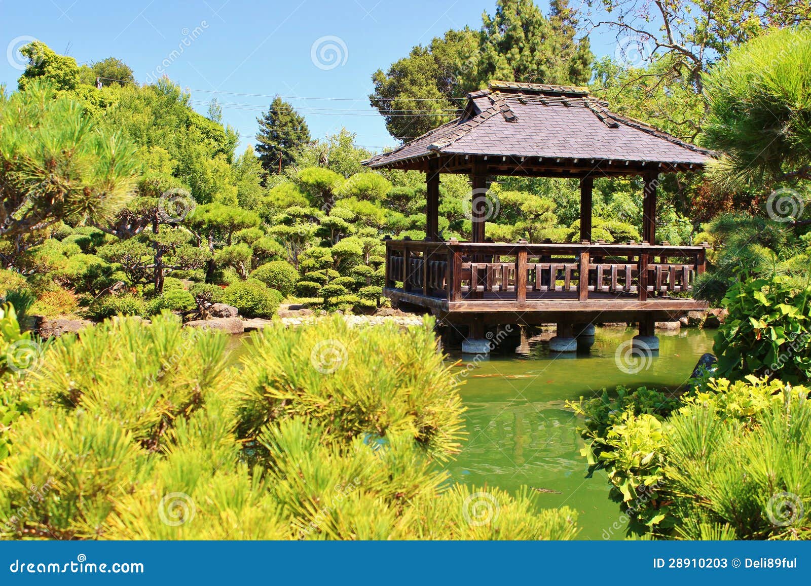 japenese garden in san francisco