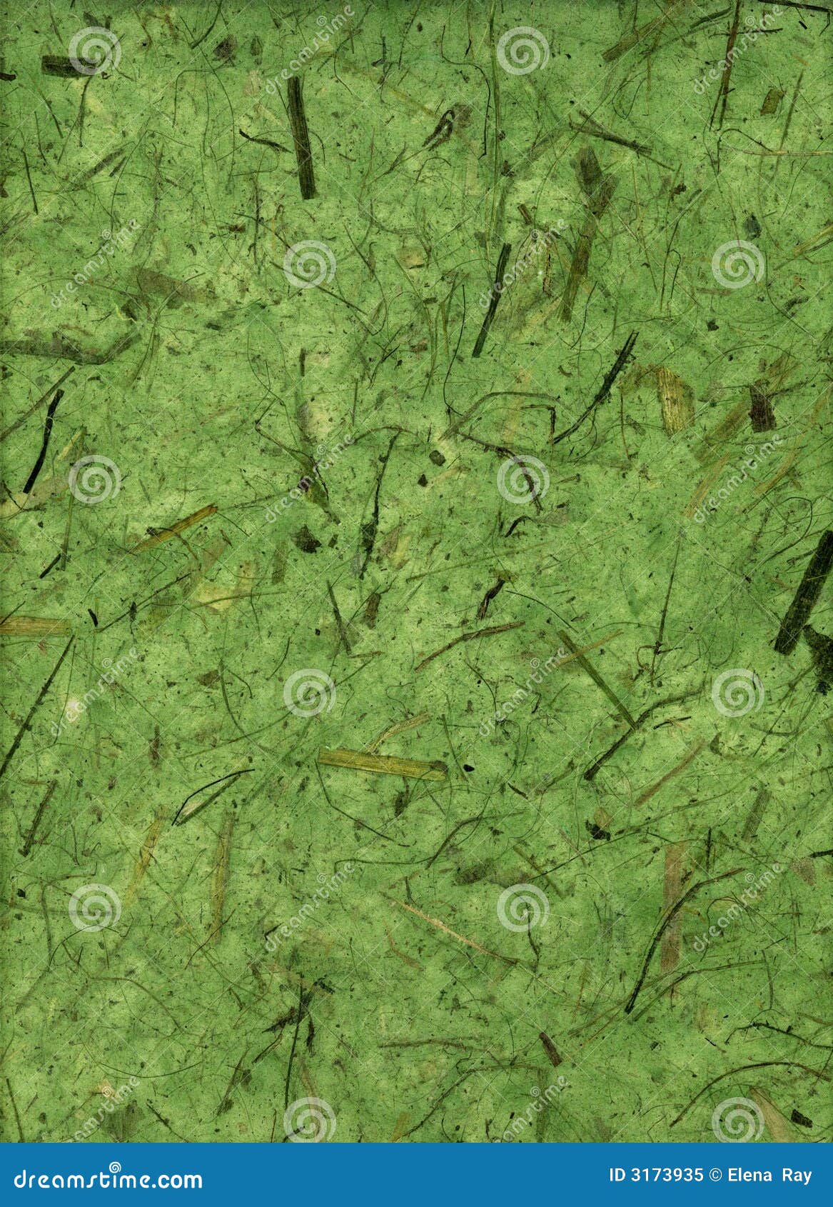 Japoński zielony papier. Japońskie papieru cząstek zielonych drzew
