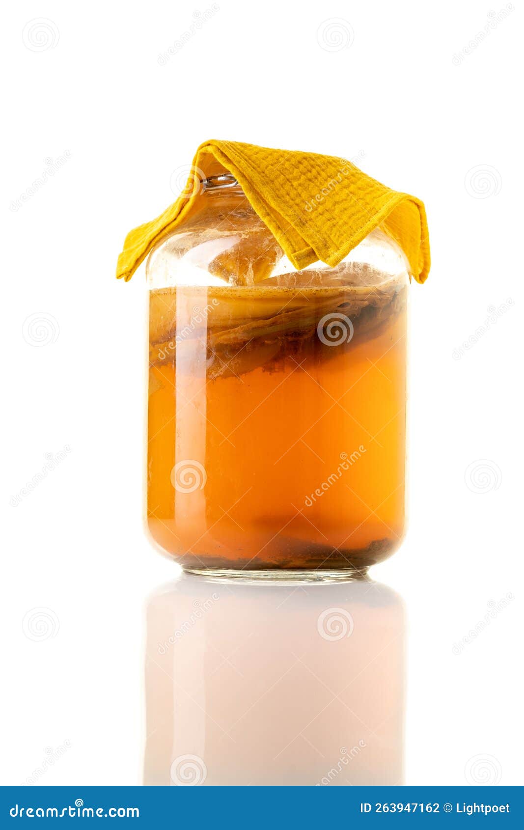 Jar of fermenting kombucha stock photo. Image of homemade 263947162