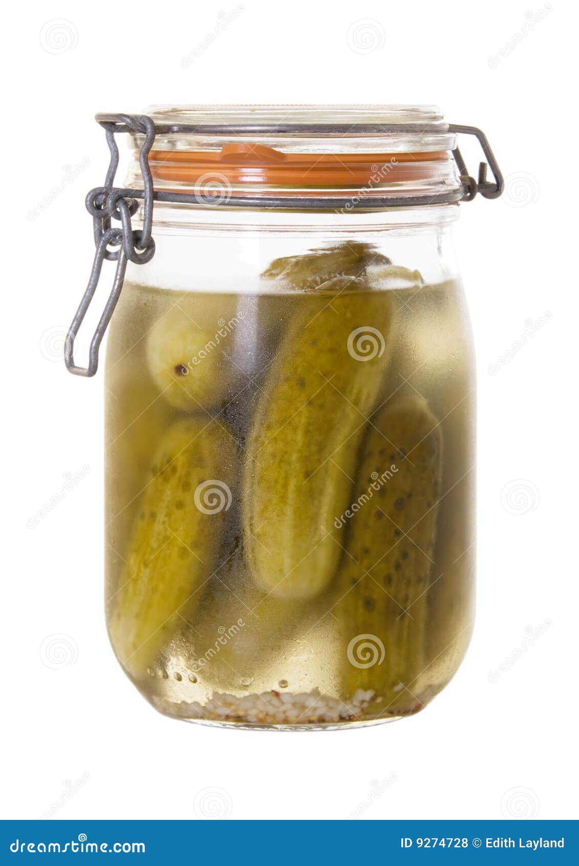 Jar of Homemade Dill Pickles Isolated Stock Photo Image of isolated