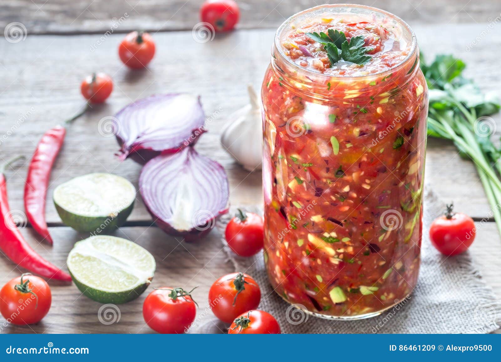 Jar of Salsa with Ingredients Stock Image Image of ingredient