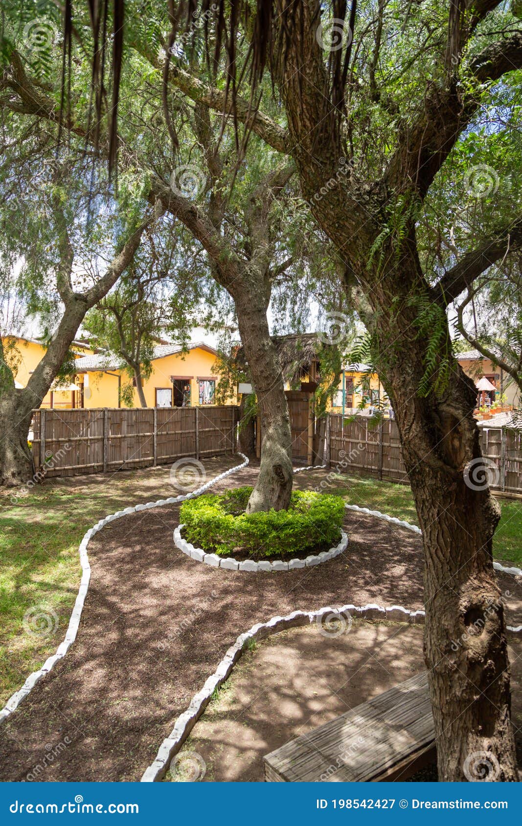 Jardín Con árboles, Vidrio Y Sendero Con Piedras Blancas Imagen de archivo  - Imagen de follaje, hierba: 198542427