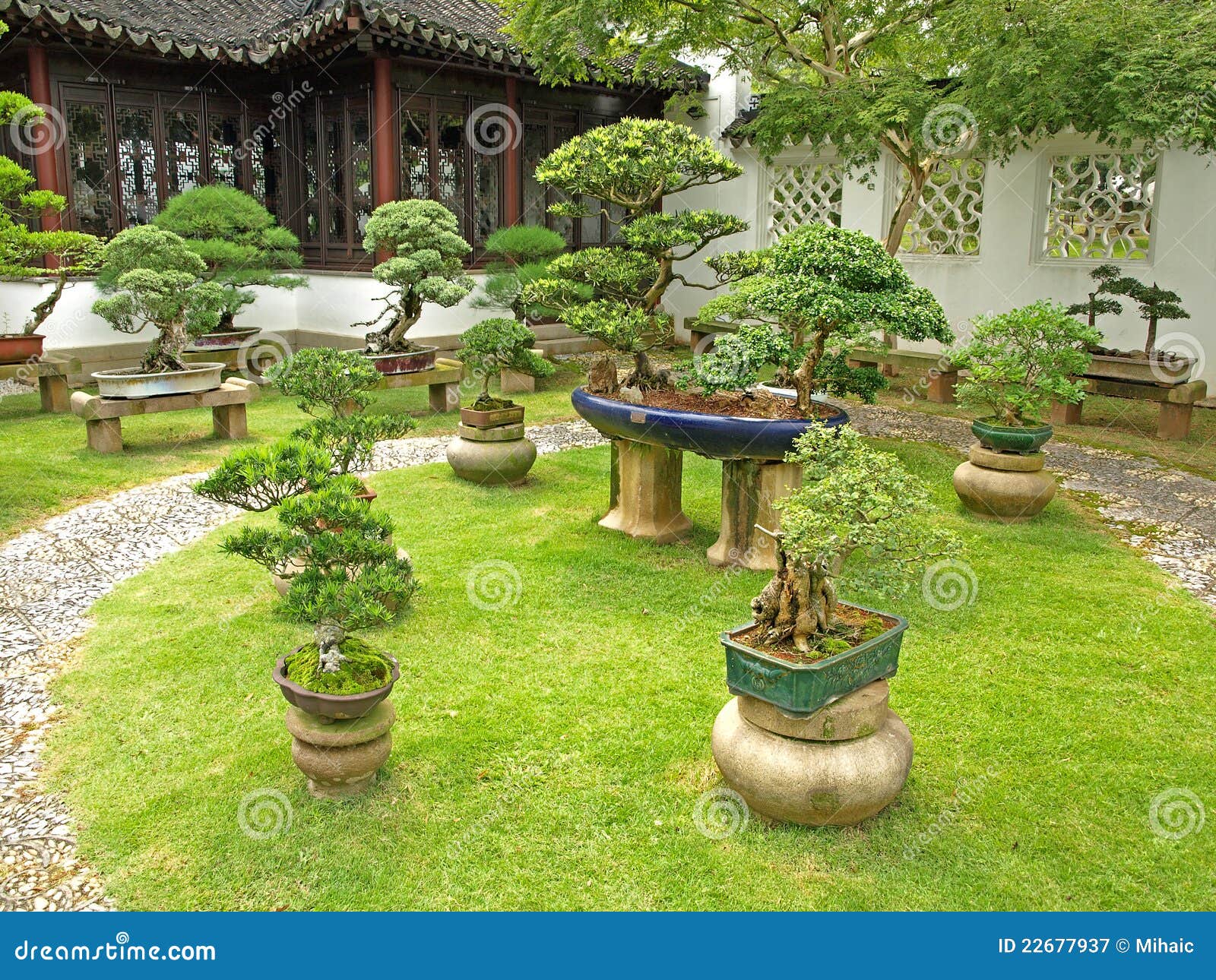 Laboratorio Hueco cáscara Jardín de los bonsais imagen de archivo. Imagen de singapur - 22677937