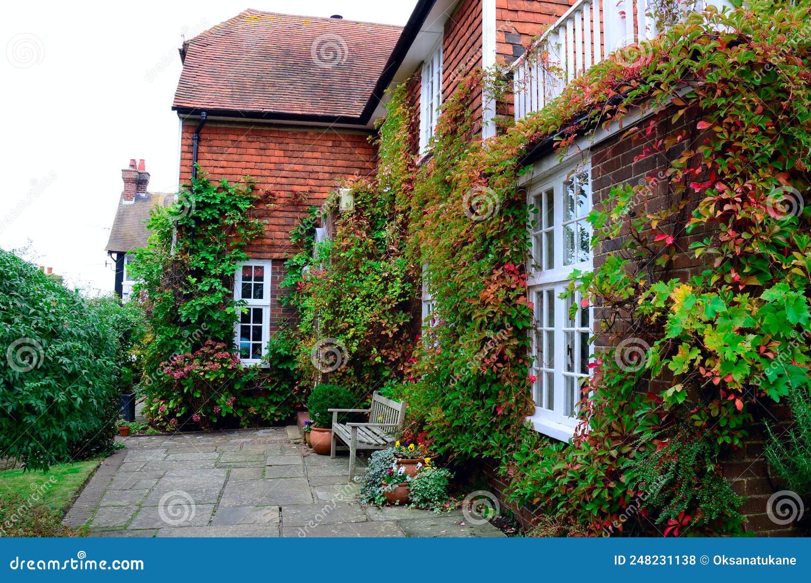 Casa Britânica Amarela Com Plantas Fora Das Janelas Imagem de Stock -  Imagem de londres, urbano: 204969287