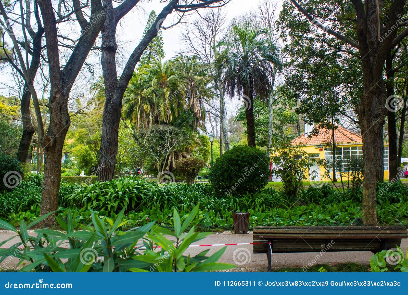 jardim da estrela or guerra junqueiro, a popular garden in the centre of lisbon, portugal