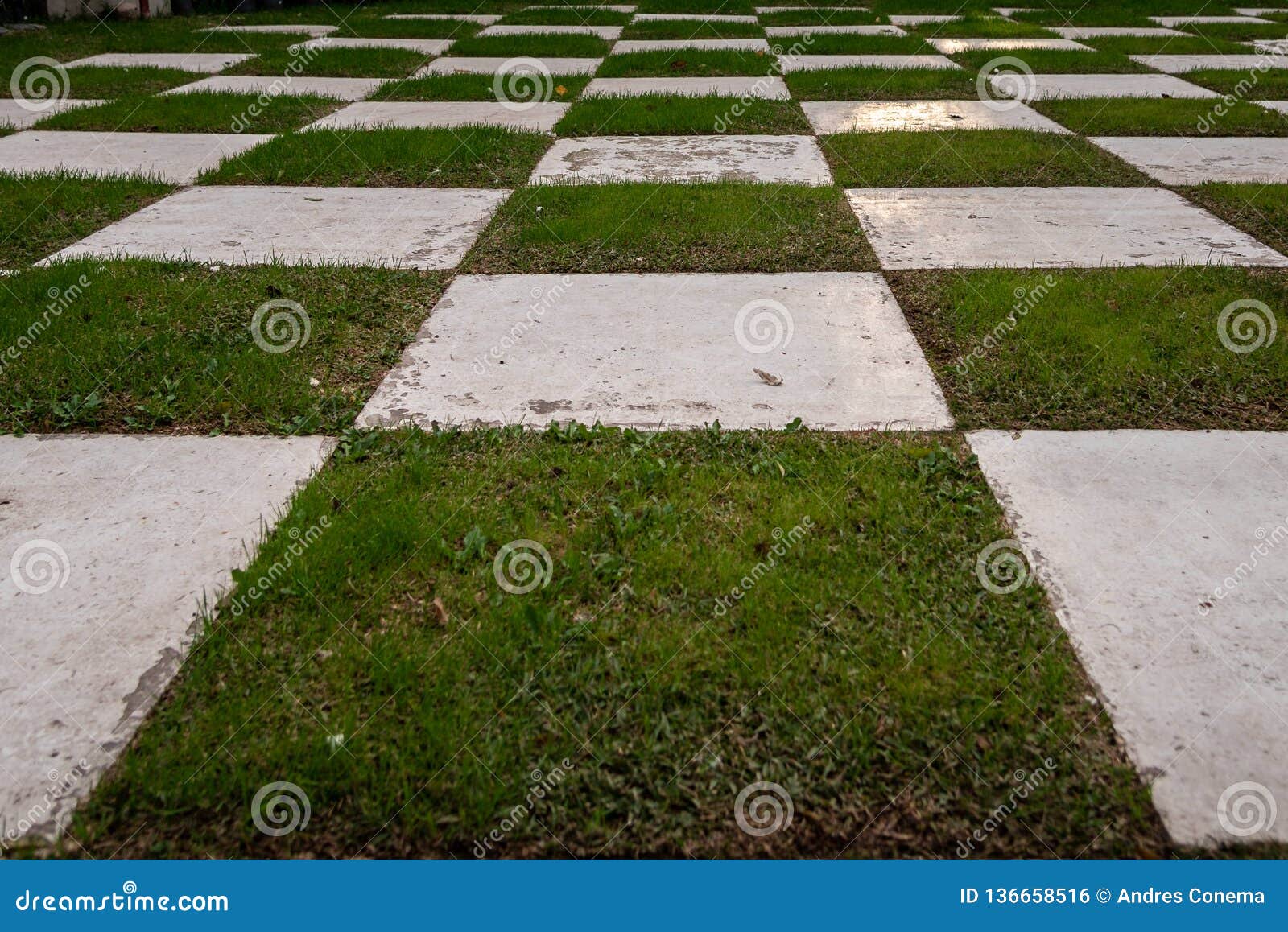 Telhados verdes - eles funcionam? - METER Group, image size:1600x1158