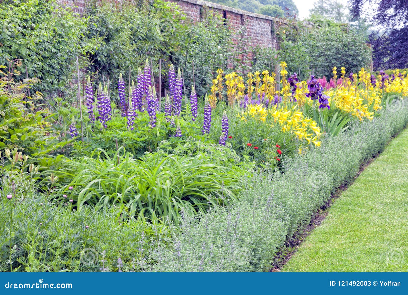 Jardim Inglês Com Flores, Ervas Que Crescem Pela Parede De Tijolo Imagem de  Stock - Imagem de ajardinado, arbusto: 121492003