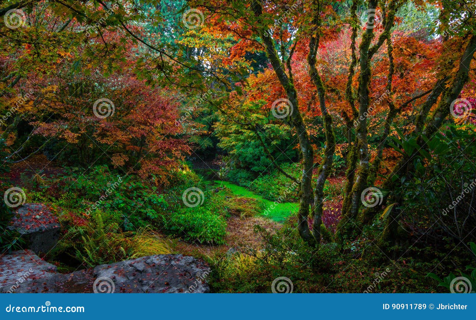 Jardin Botanique De Bellevue, Washington State Image stock Image du