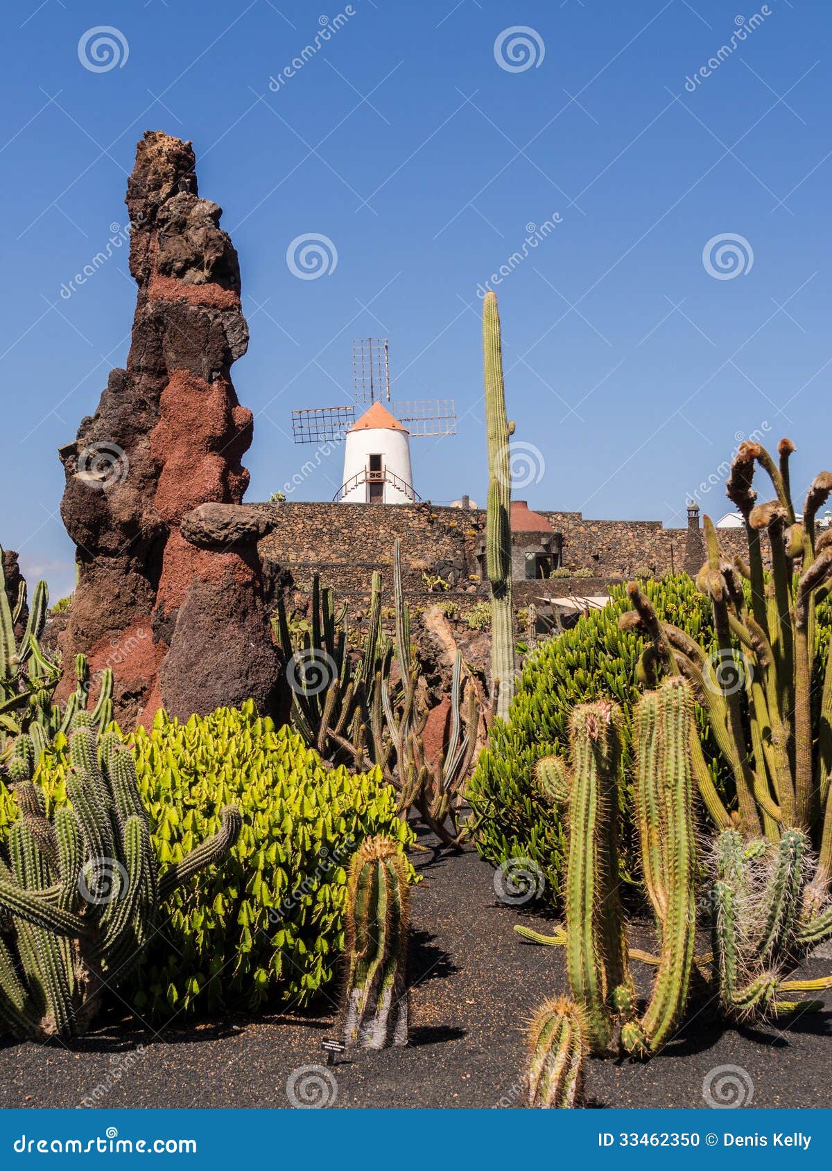 Jardin De Cactus à Lanzarote, Îles Canaries. Photo stock Image 33462350