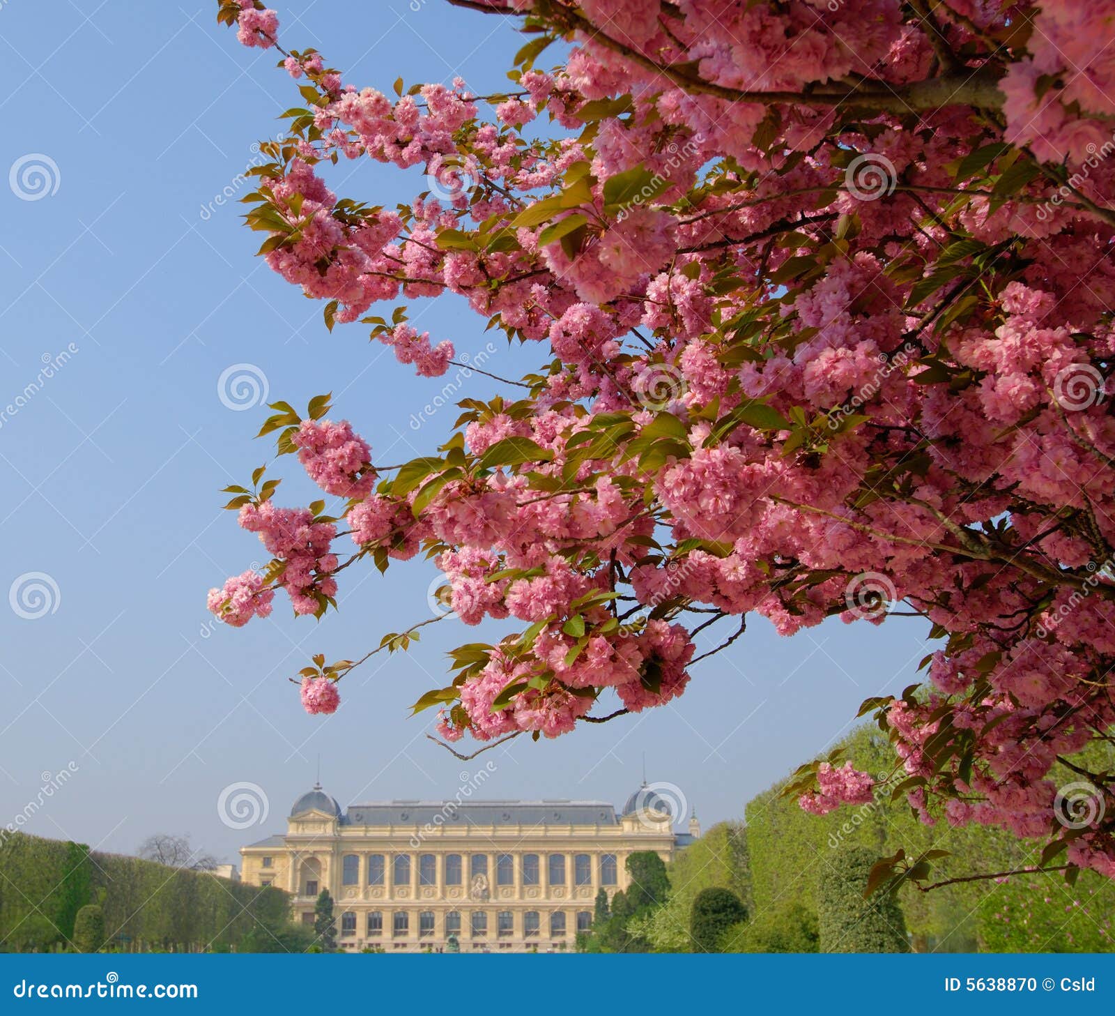 jardin des plantes, paris