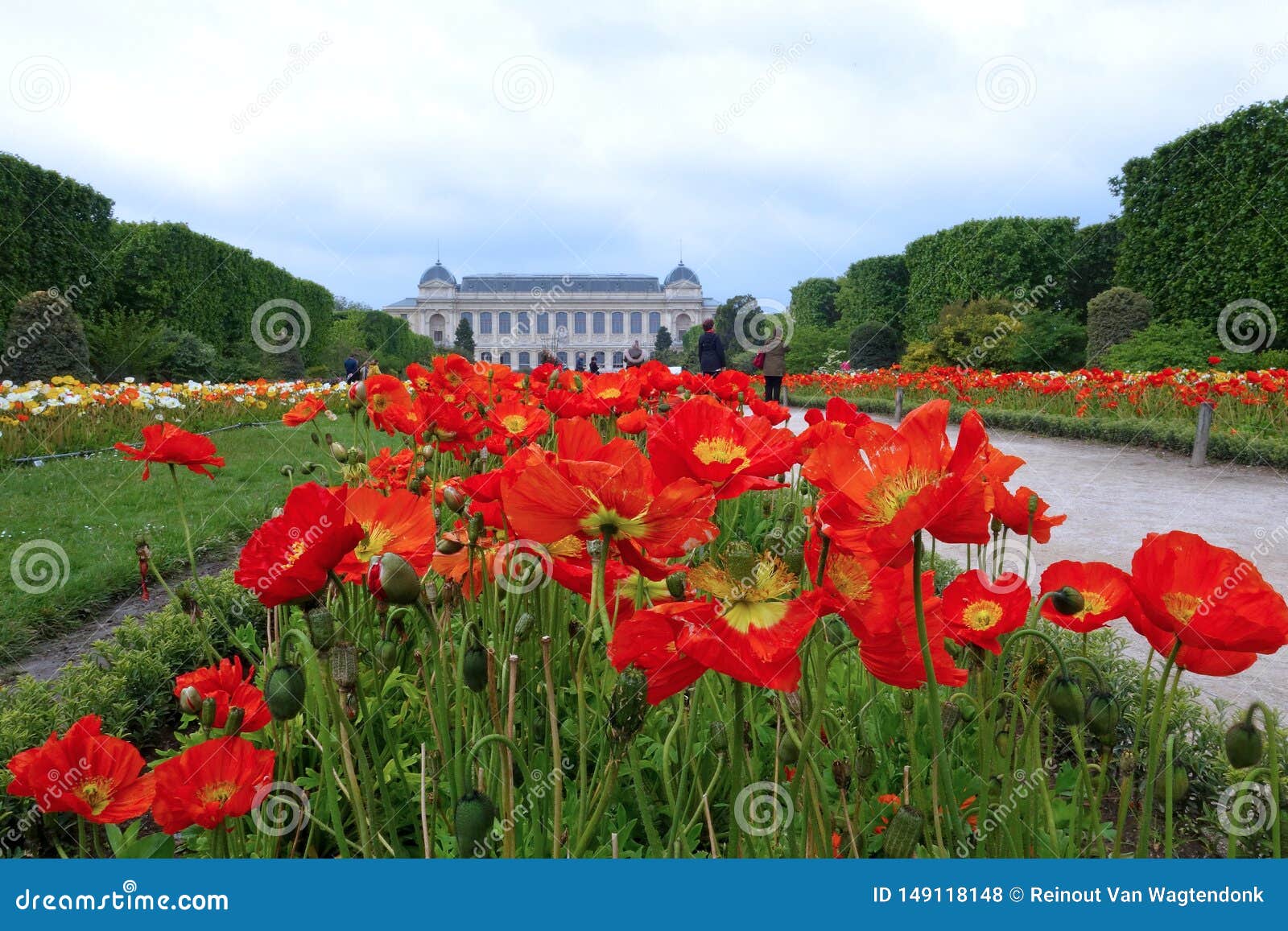 Jardin Des Plantes Paris S Botanical Garden Editorial Stock Photo