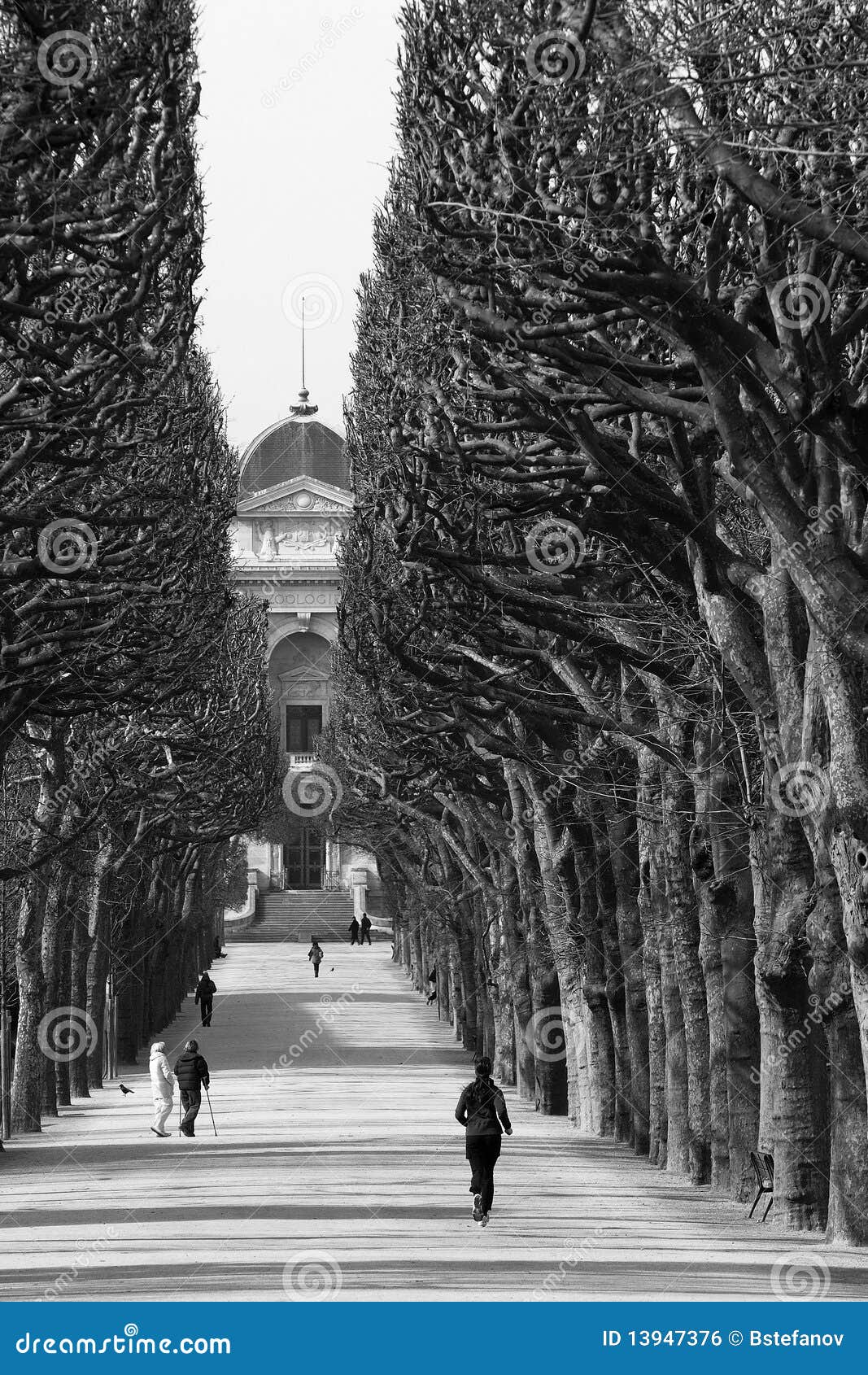 jardin des plants