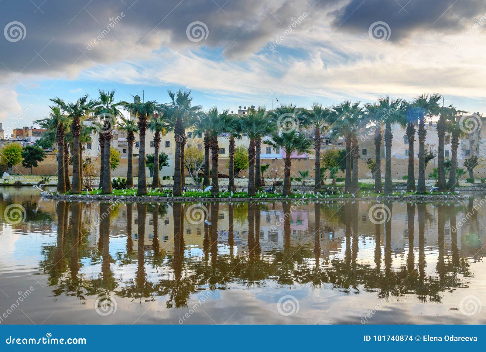 jardin jnan sbil, royal garden in fes. morroco