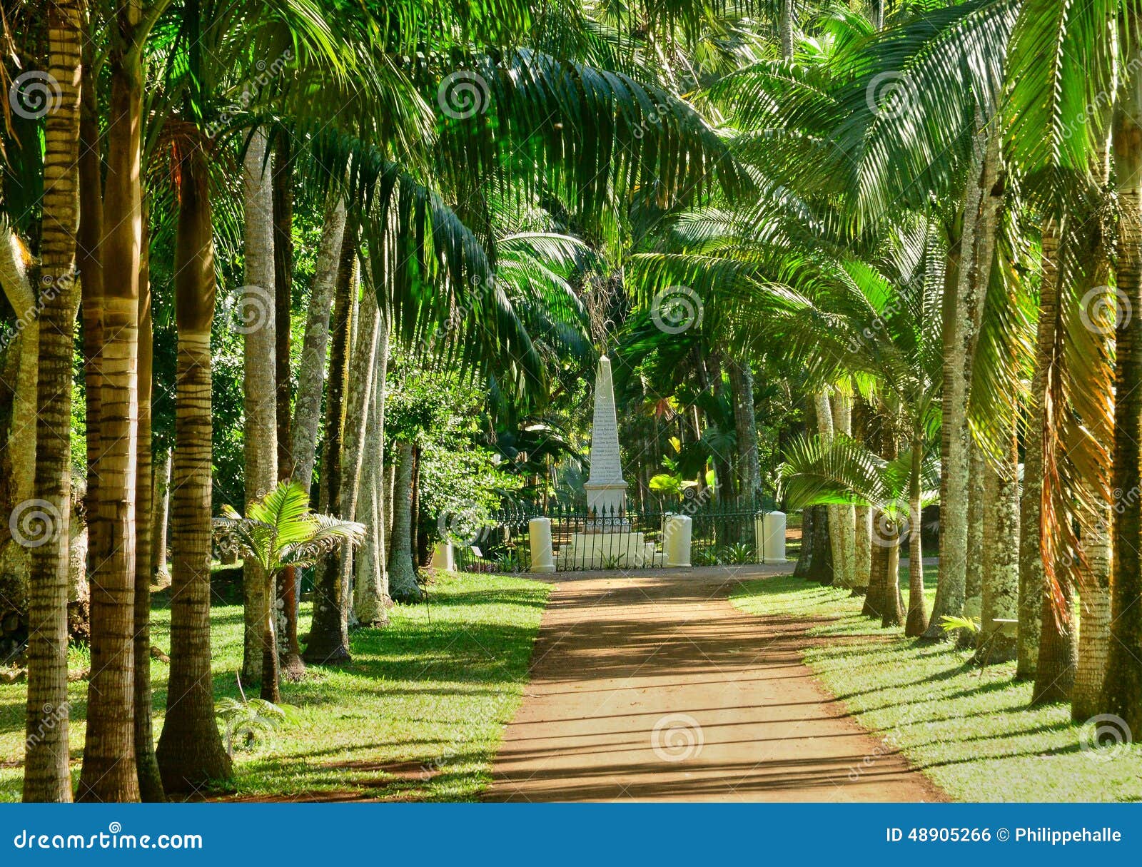 Jardin Pittoresque De Pamplemousse En Mauritius Republic Photo