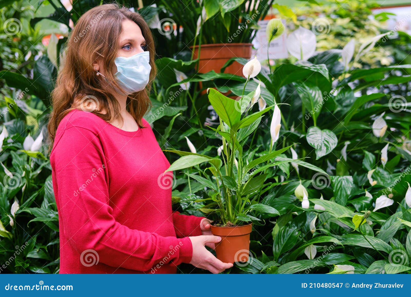 Jardineira De Mulher Mascarada Compra Plantas-casa De Spathhyllum Para Seu  Jardim De Flores. Vendas De Plantas Em Vaso Para Hobby Imagem de Stock -  Imagem de interior, jardim: 210480547