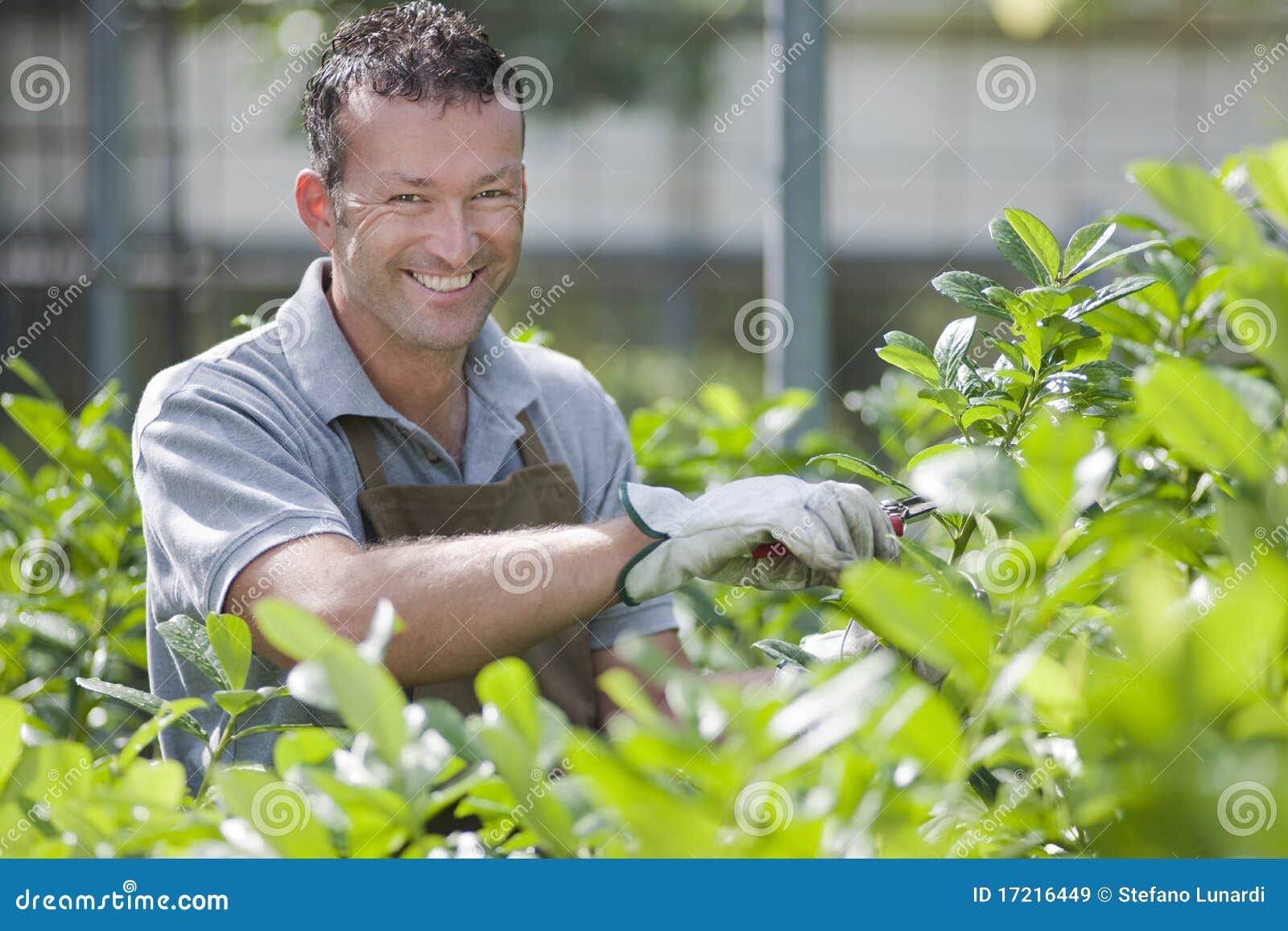 Como cultivar cebolas como um jardineiro profissional