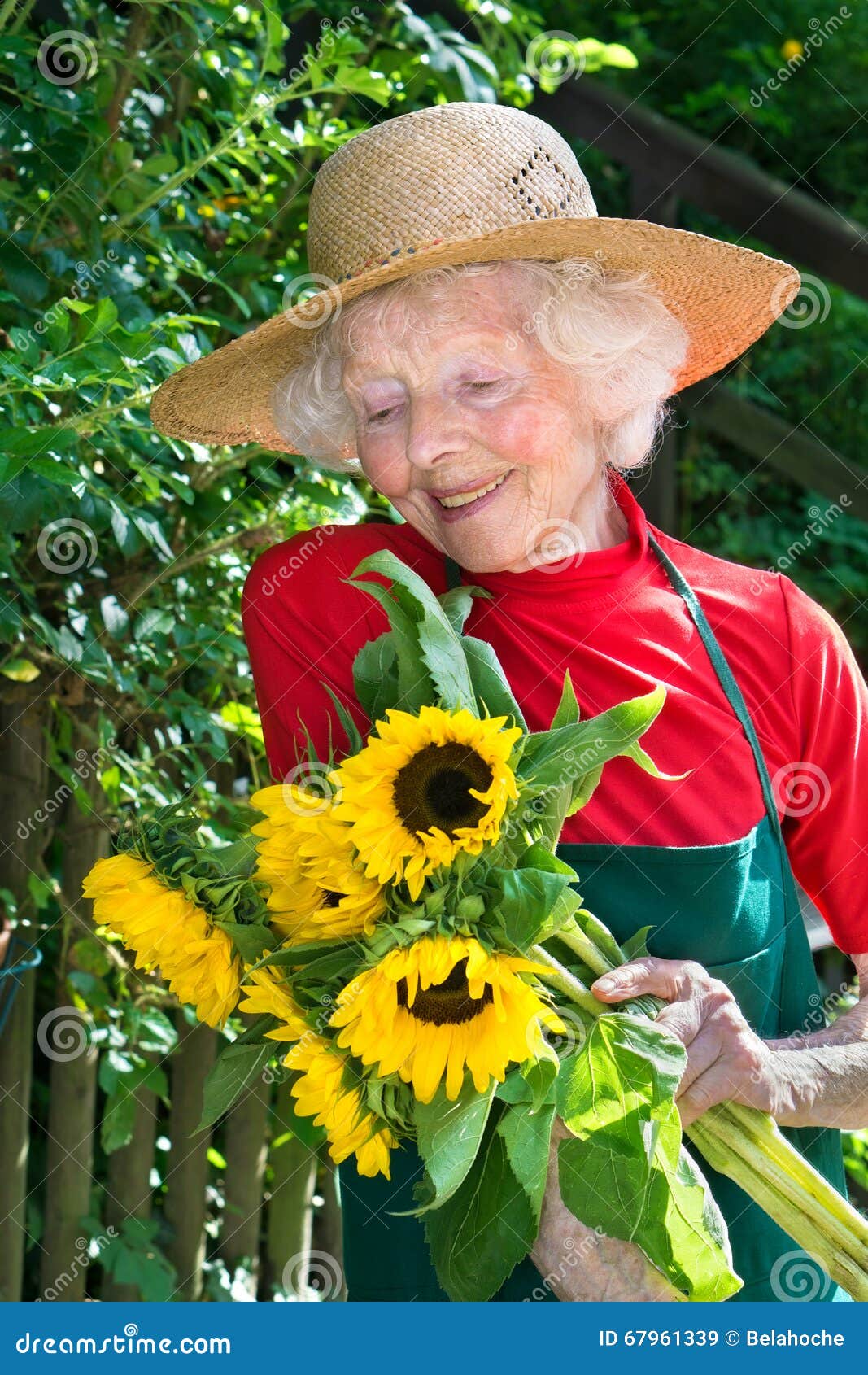 Jardinero Mayor Orgulloso Que Admira Sus Flores Imagen de archivo - Imagen  de brillante, lifestyle: 67961339