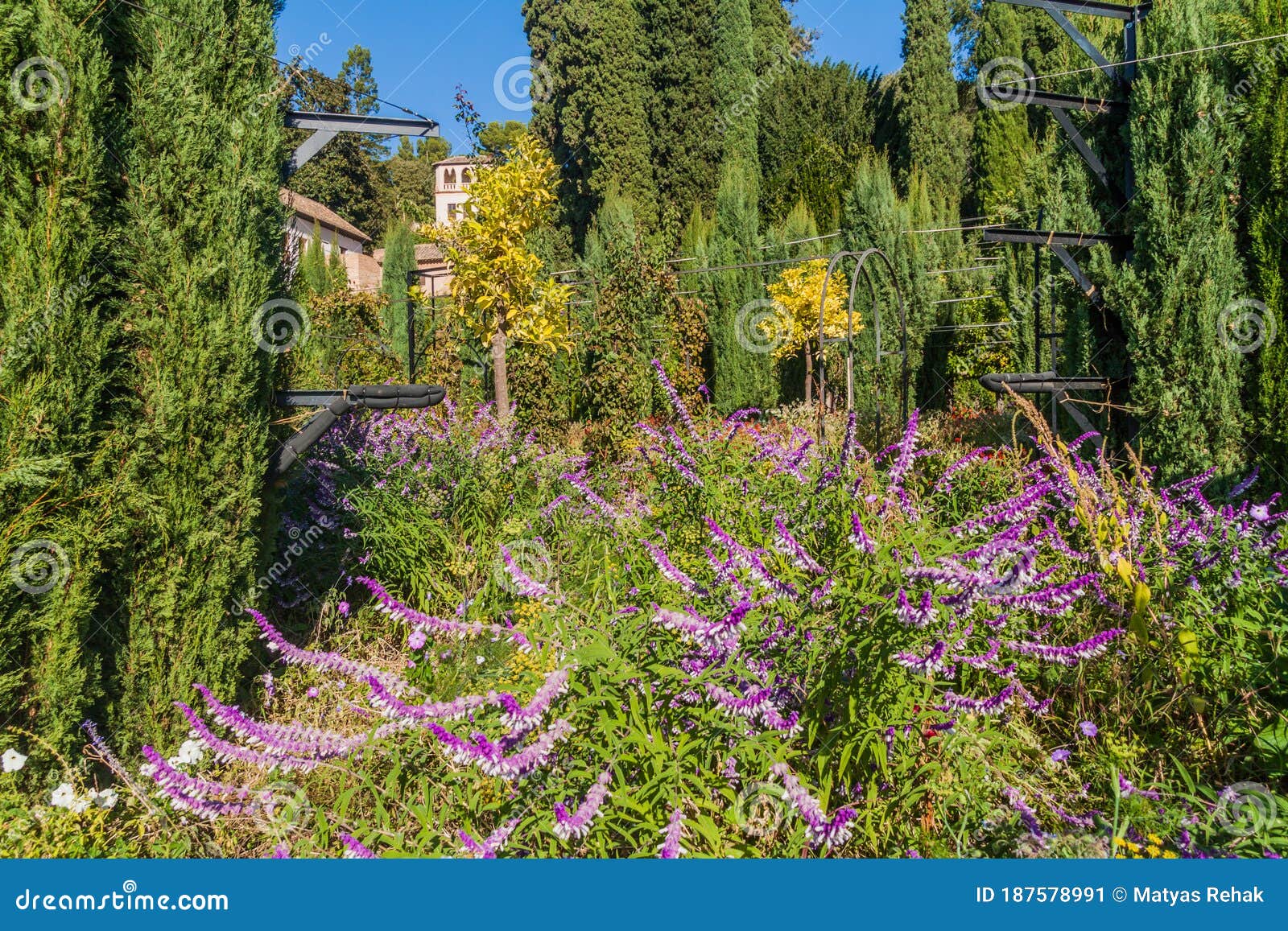 jardines del generalife gardens at alhambra in granada, spa