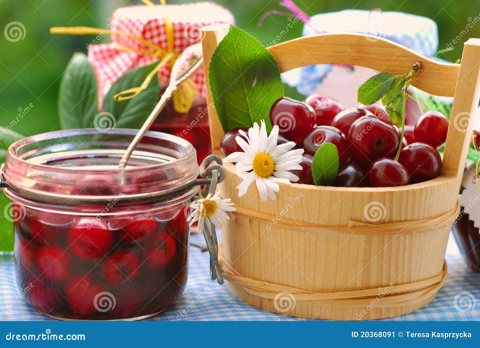 Jars of Cherry Preserves in the Garden Stock Image Image of drink
