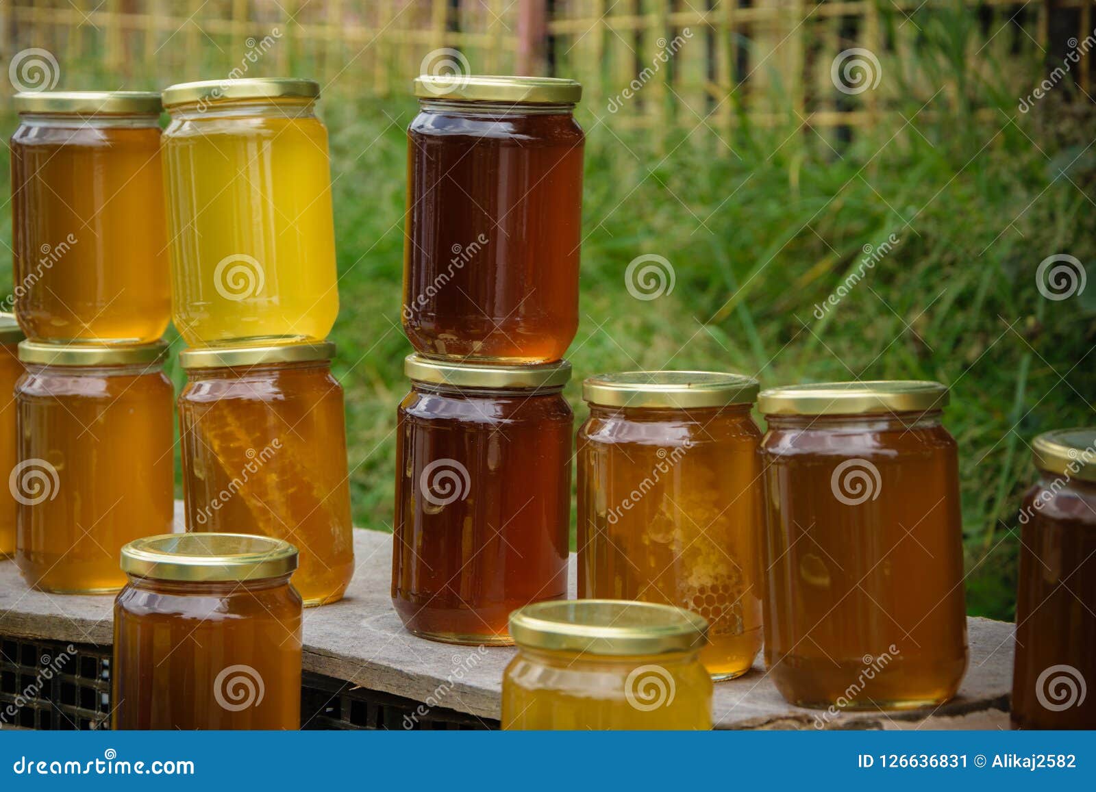 Guadalajara Honey