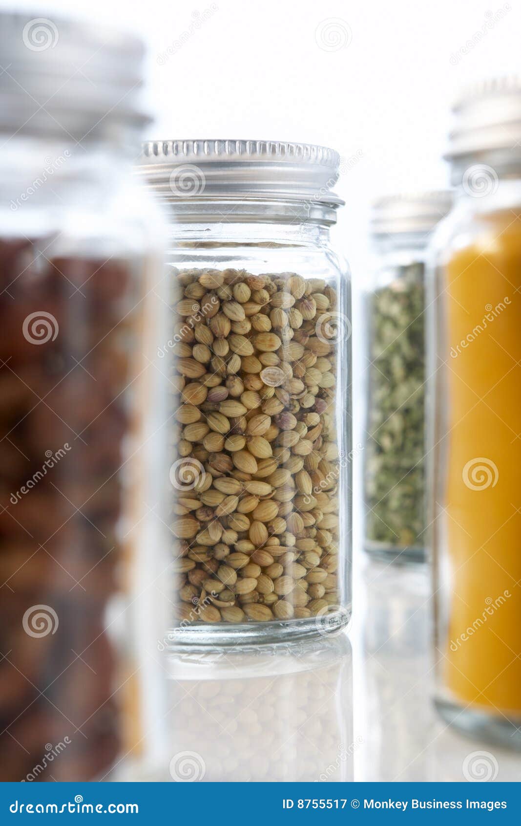 Jars of Herbs and Spices stock image. Image of shot, gourmet 8755517