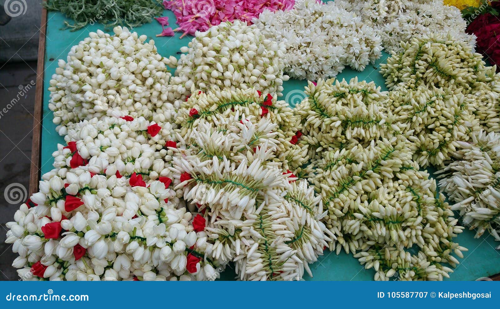 Jasmin mala stock image. Image of flowers, flower, mogra 105587707