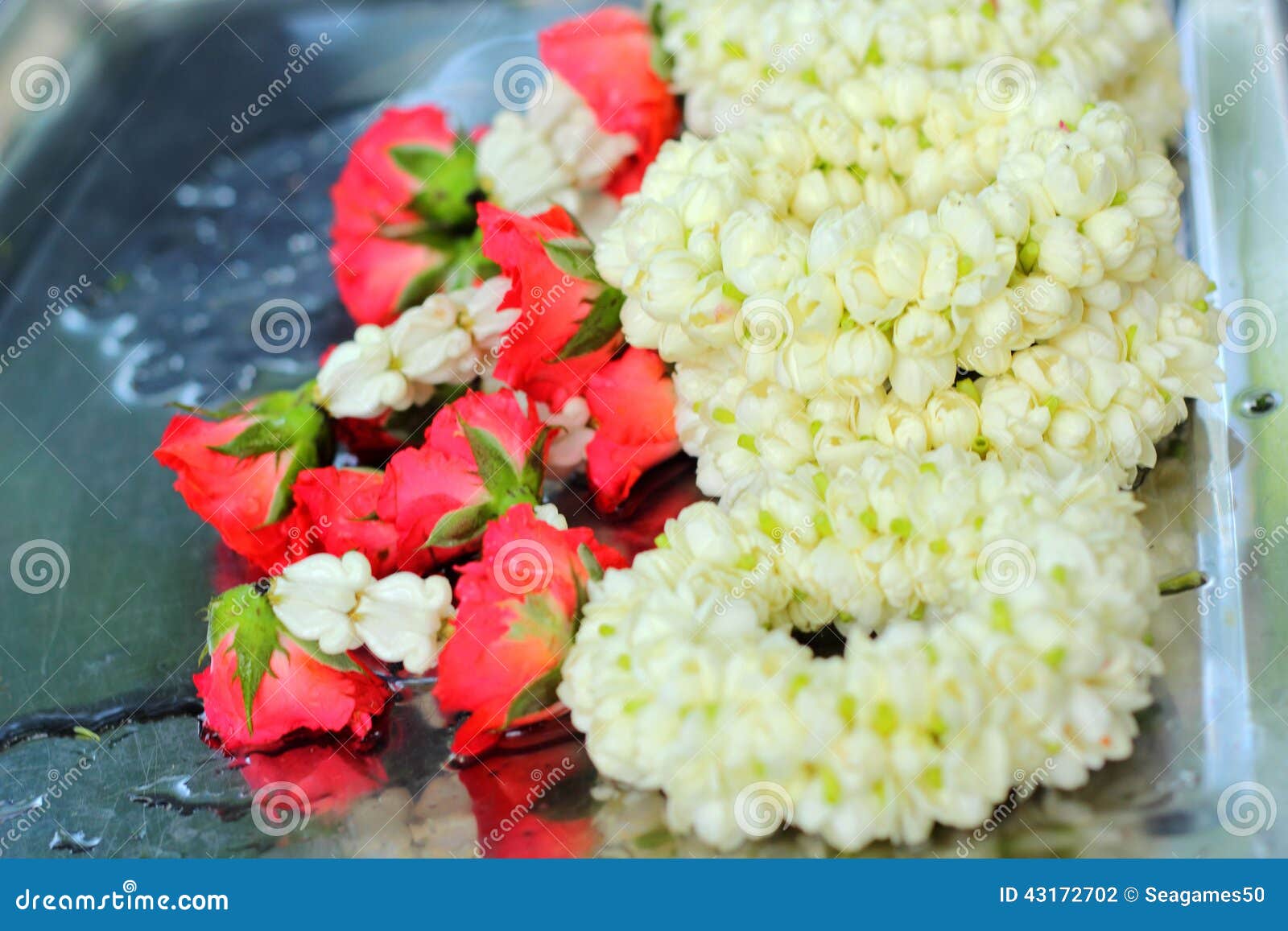 Jasmine Flower in the Market Stock Photo Image of environmental