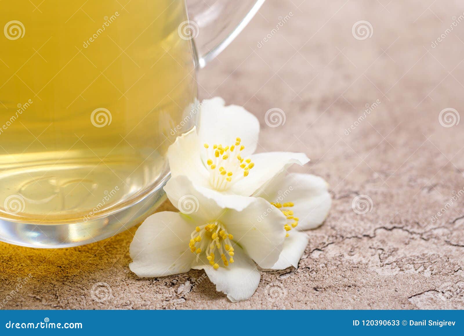 Jasmine Flowers. Green Tea with Jasmine. Stock Image Image of