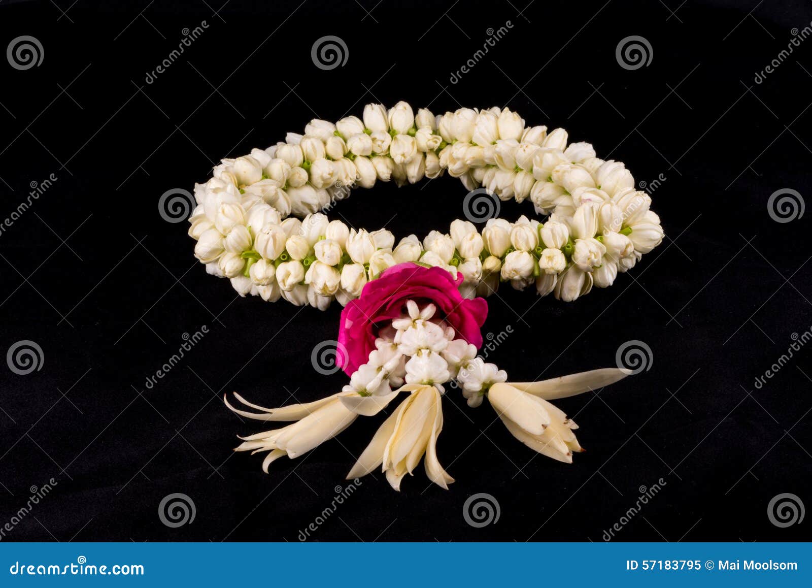 Jasmine Garland of Flowers. Stock Image Image of fresh, design 57183795