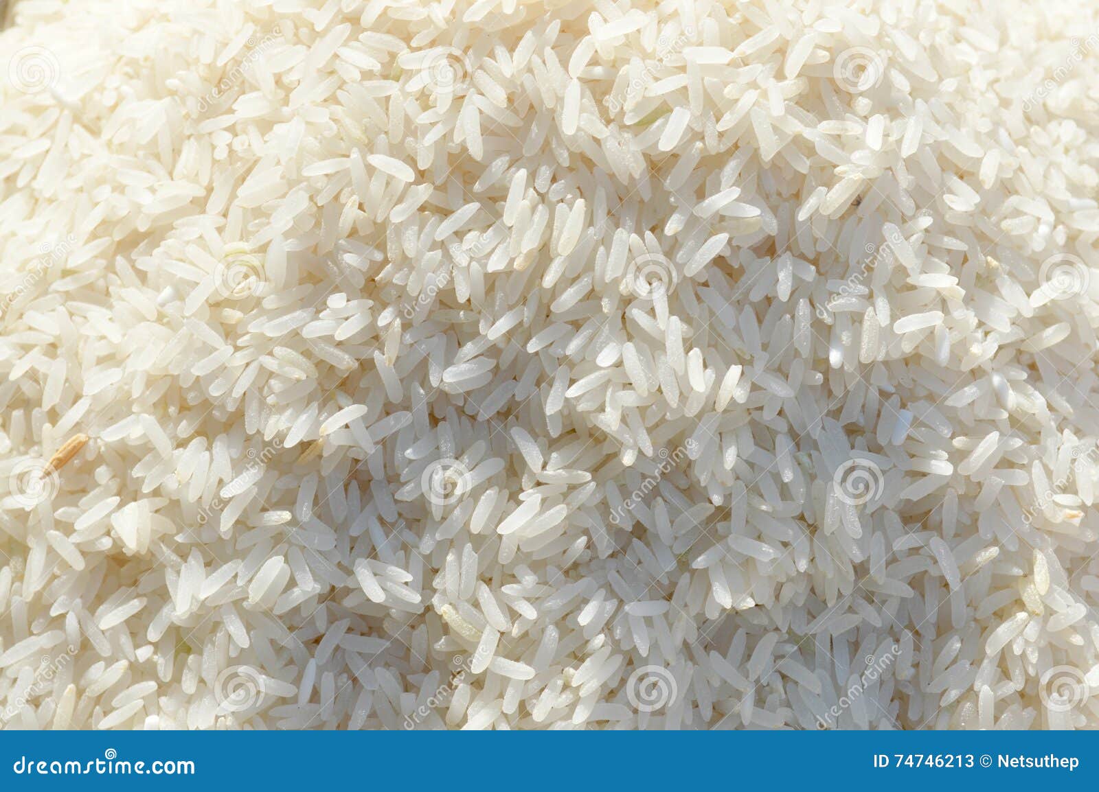 Jasmine rice seeds stock image. Image of jasmine, peel 74746213