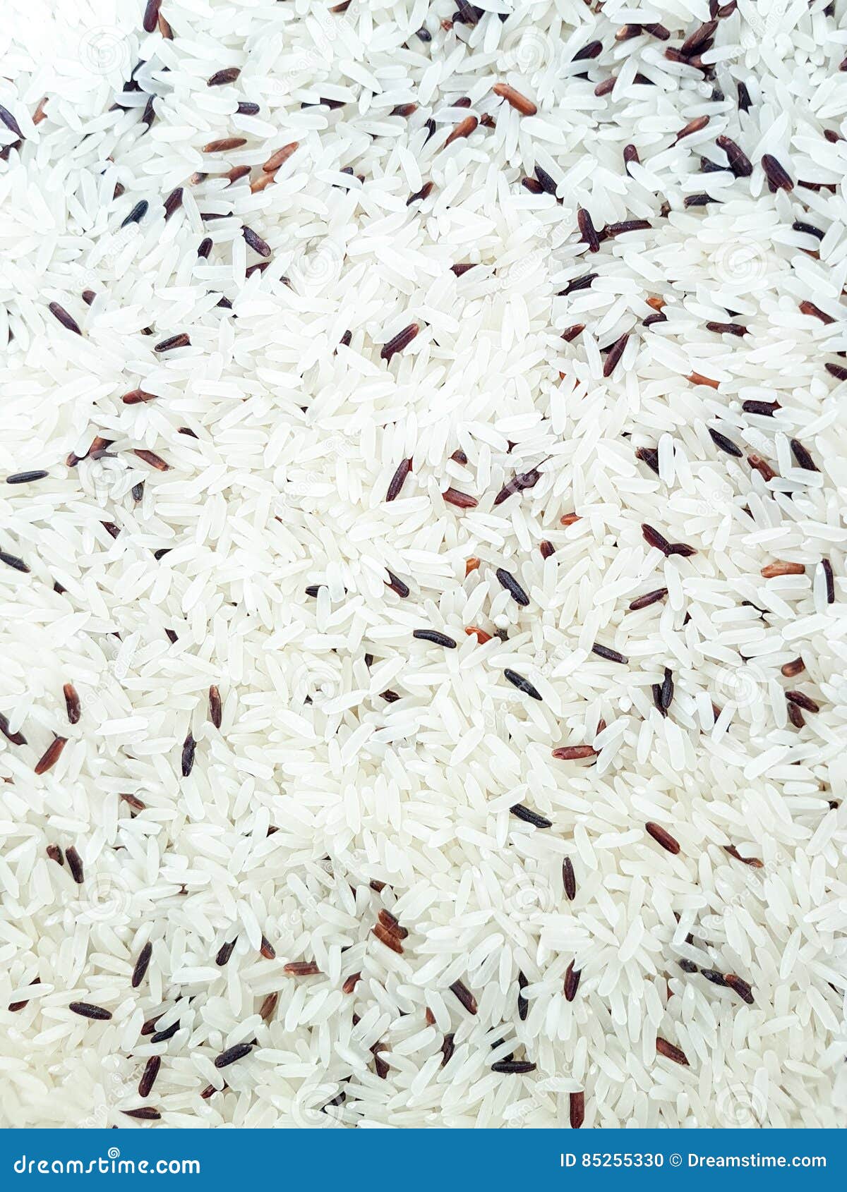 Jasmine rice stock photo. Image of white, background - 85255330