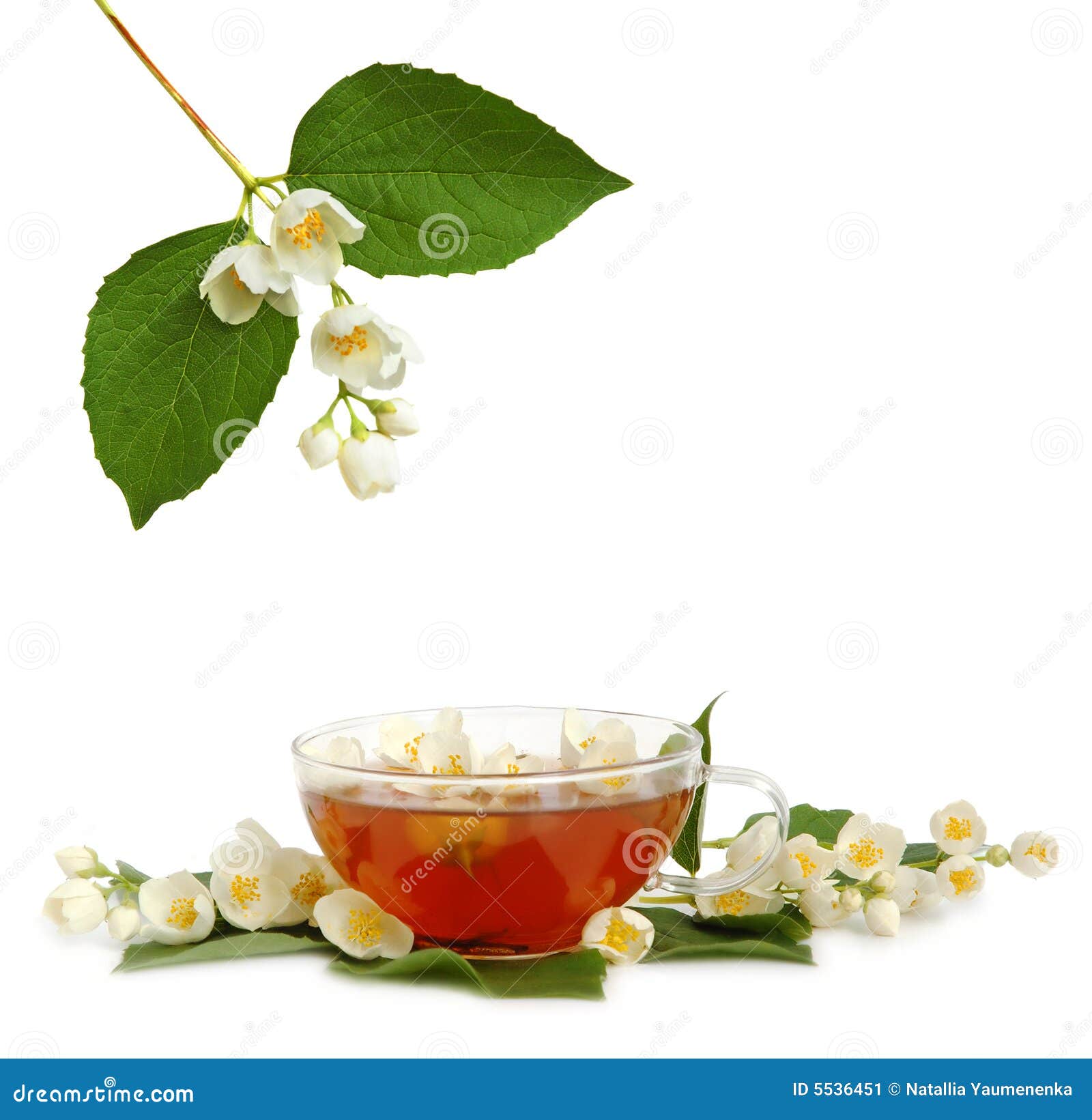 Jasmine tea stock image. Image of herbal, aromatherapy 5536451