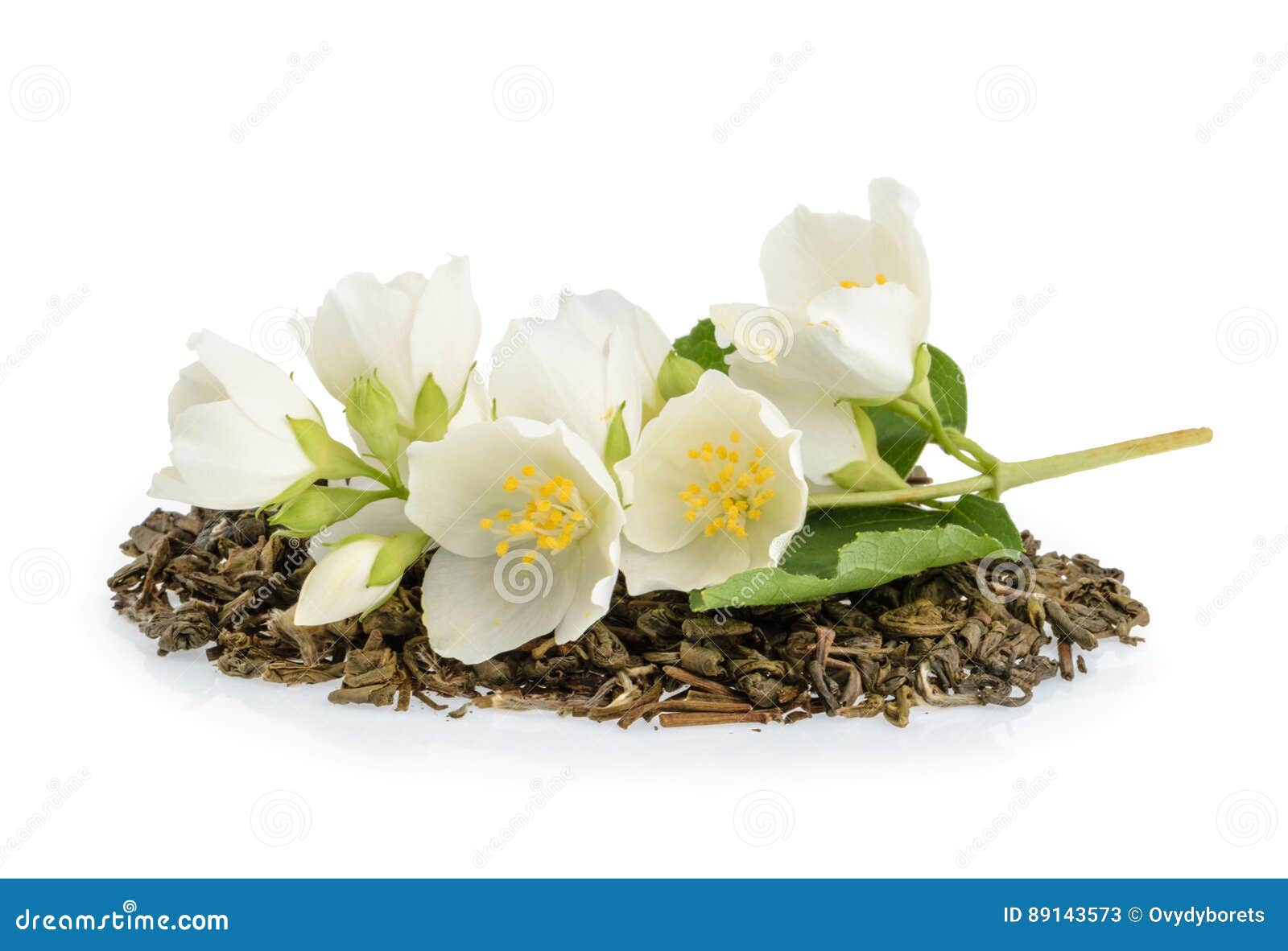 Jasmine Tea with Jasmine Flowers Isolated on White Background Stock