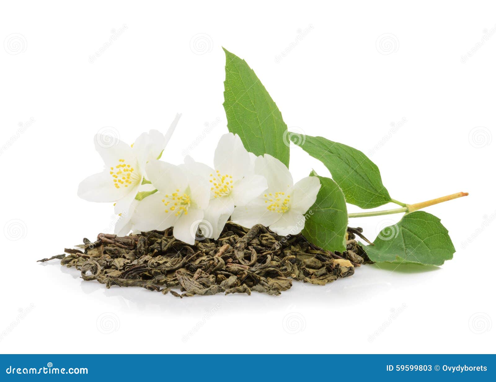 Jasmine Tea with Jasmine Flowers on White Stock Image Image of beverage, infusion 59599803