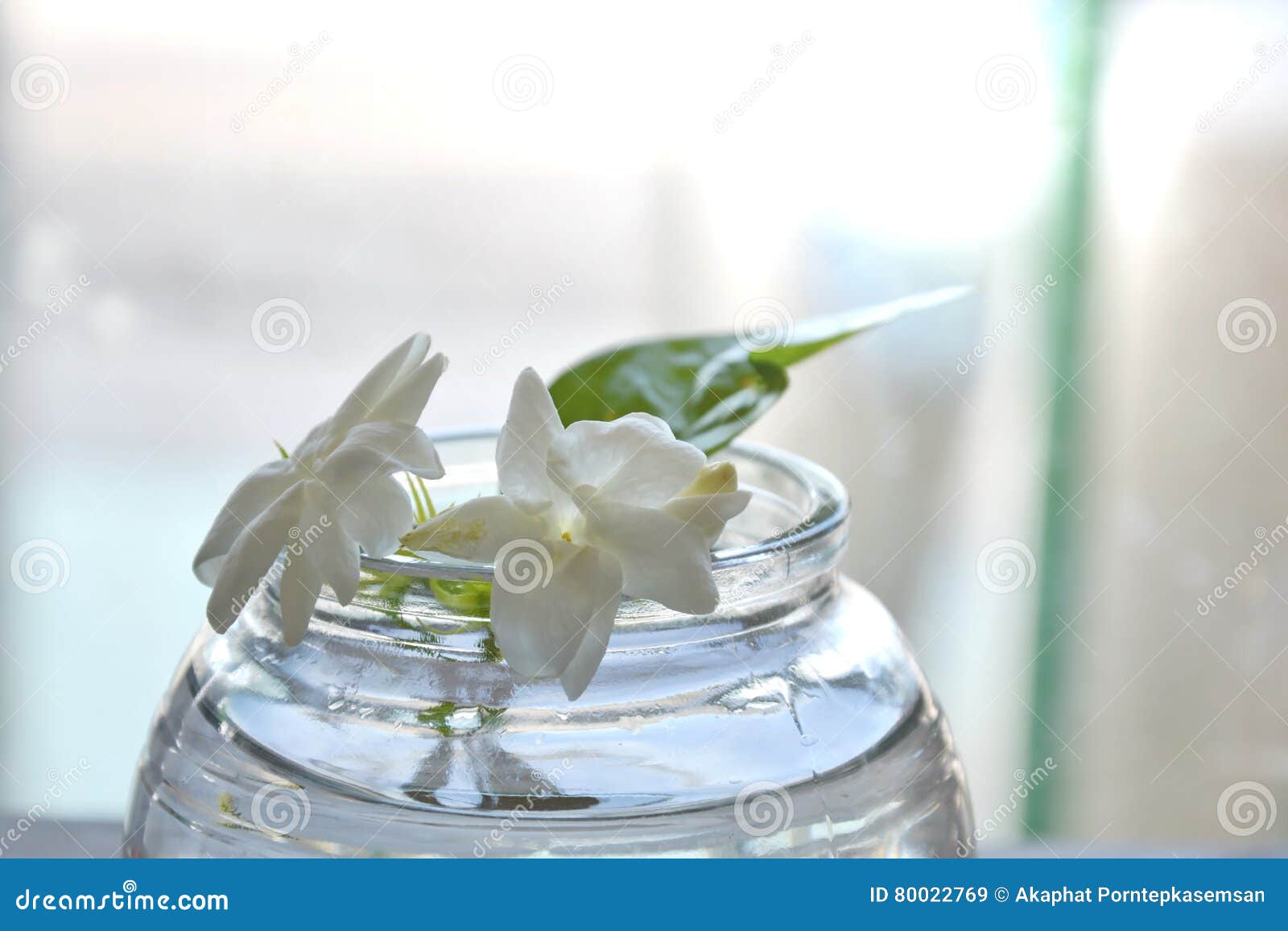 Jasmine White Flower on Water in Glass Bottle Stock Image Image of