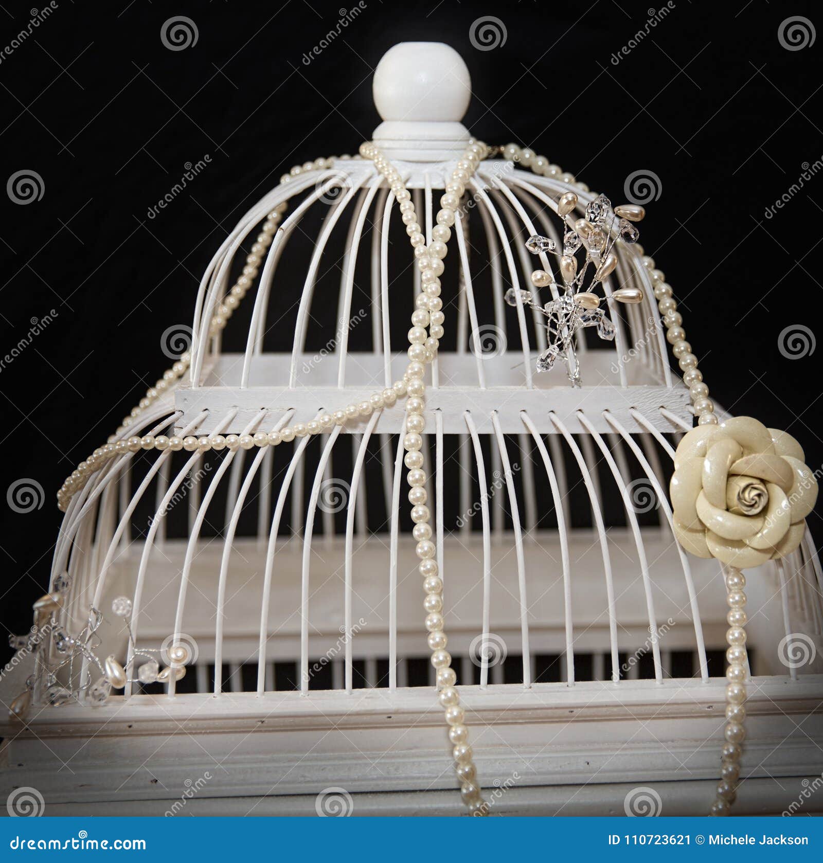 Jaula De Pájaros Usada Para Colocar Los Regalos Del Dinero Imagen de archivo - Imagen de jaula, decorativo: