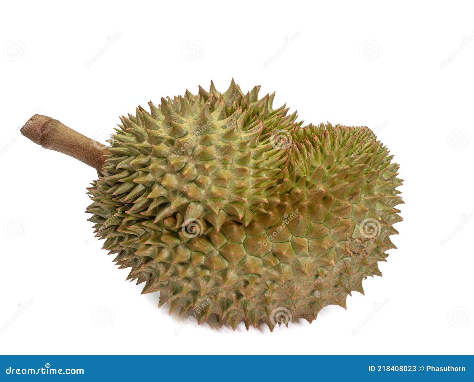 Jaune Durian Thai Tropical Malodorant Aliments Isolés Image stock